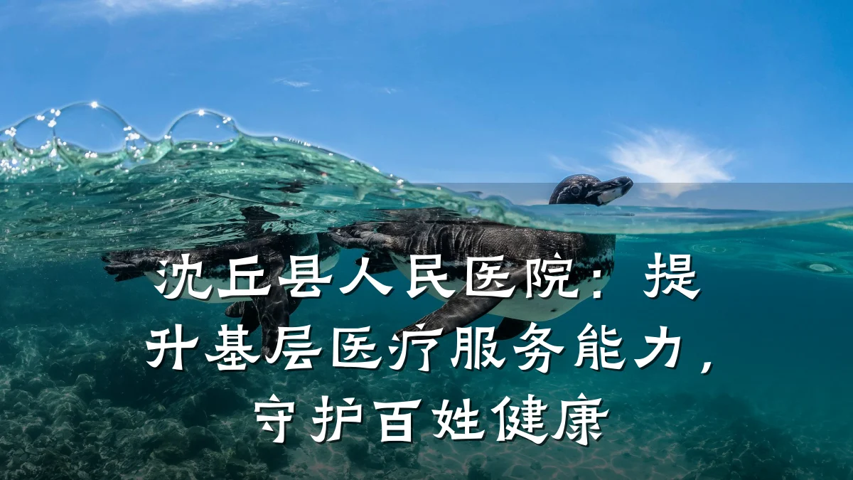 沈丘县人民医院：提升基层医疗服务能力，守护百姓健康