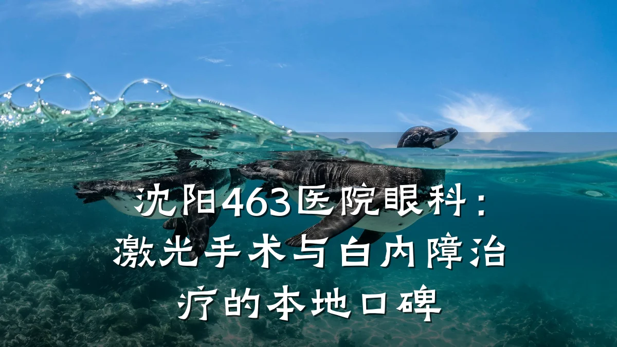 沈阳463医院眼科:激光手术与白内障治疗的本地口碑