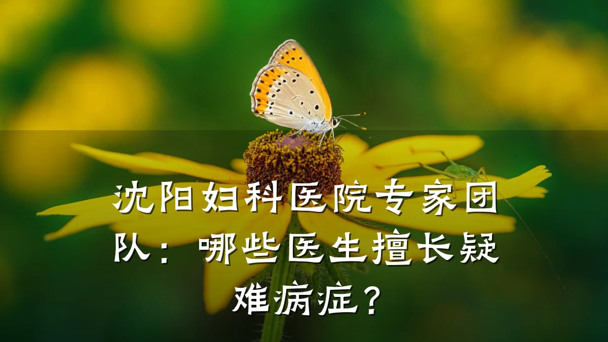 沈阳妇科医院专家团队:哪些医生擅长疑难病症?
