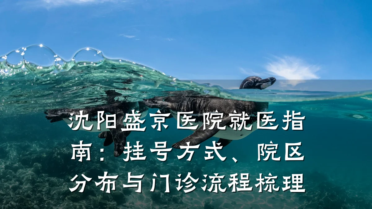 沈阳盛京医院就医指南:挂号方式、院区分布与门诊流程梳理