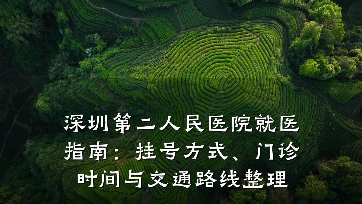 深圳第二人民医院就医指南:挂号方式、门诊时间与交通路线整理