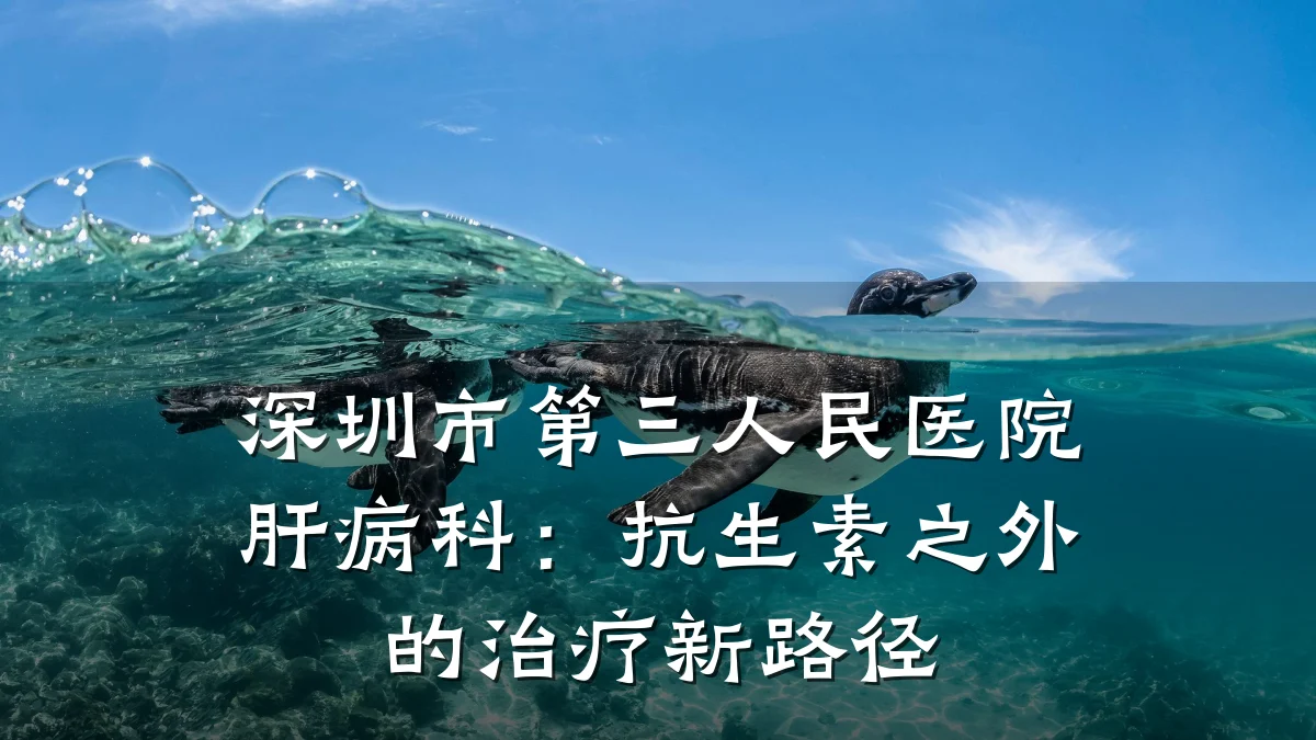 深圳市第三人民医院肝病科:抗生素之外的治疗新路径