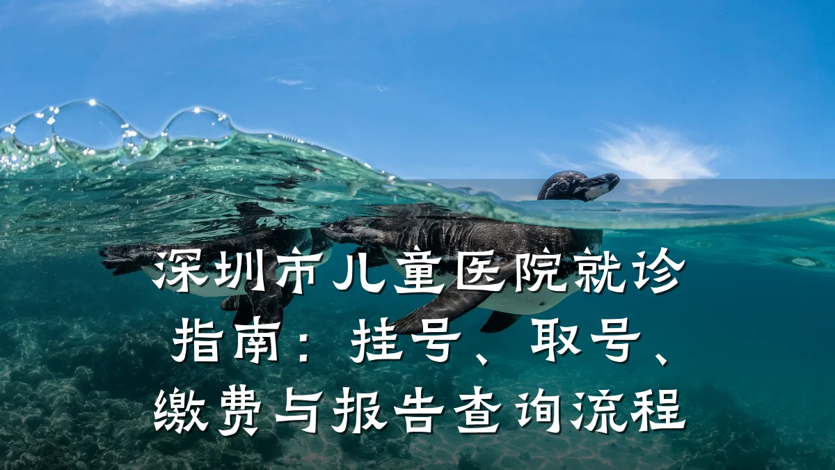 深圳市儿童医院就诊指南:挂号、取号、缴费与报告查询流程