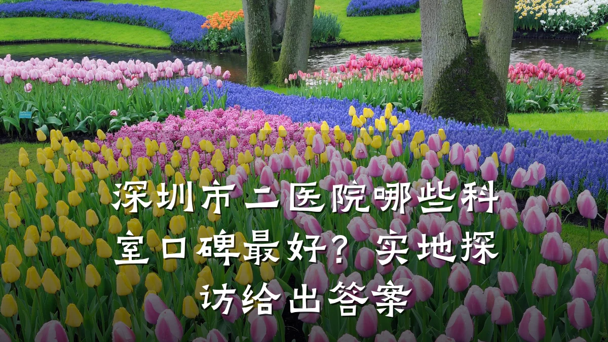 深圳市二医院哪些科室口碑最好?实地探访给出答案