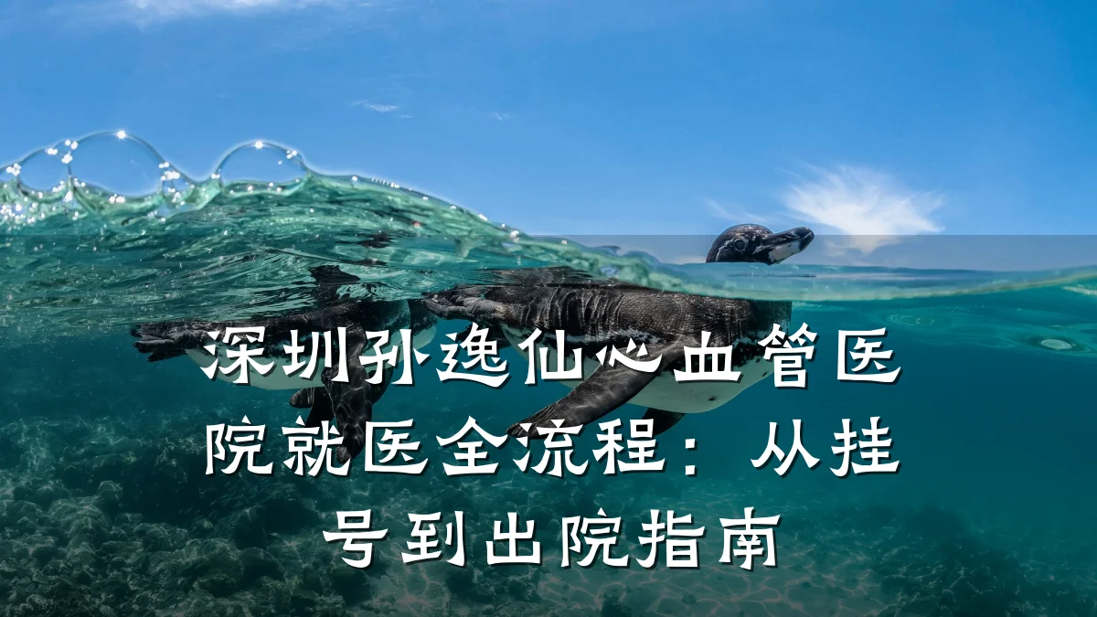 深圳孙逸仙心血管医院就医全流程:从挂号到出院指南