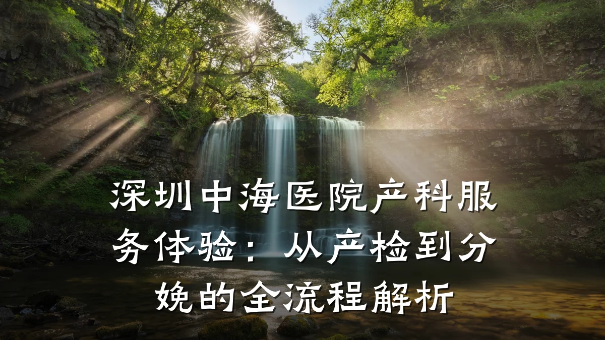 深圳中海医院产科服务体验:从产检到分娩的全流程解析