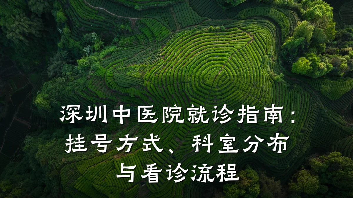 深圳中医院就诊指南:挂号方式、科室分布与看诊流程