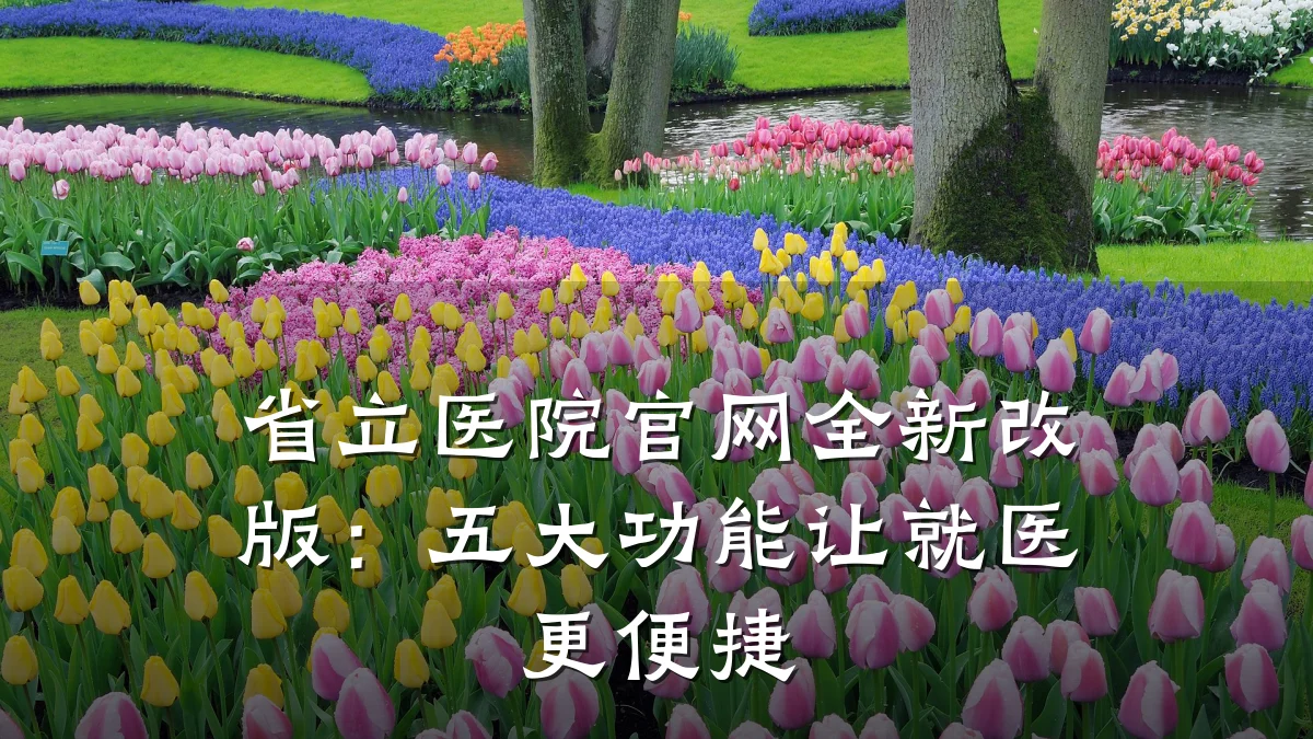 省立医院官网全新改版:五大功能让就医更便捷