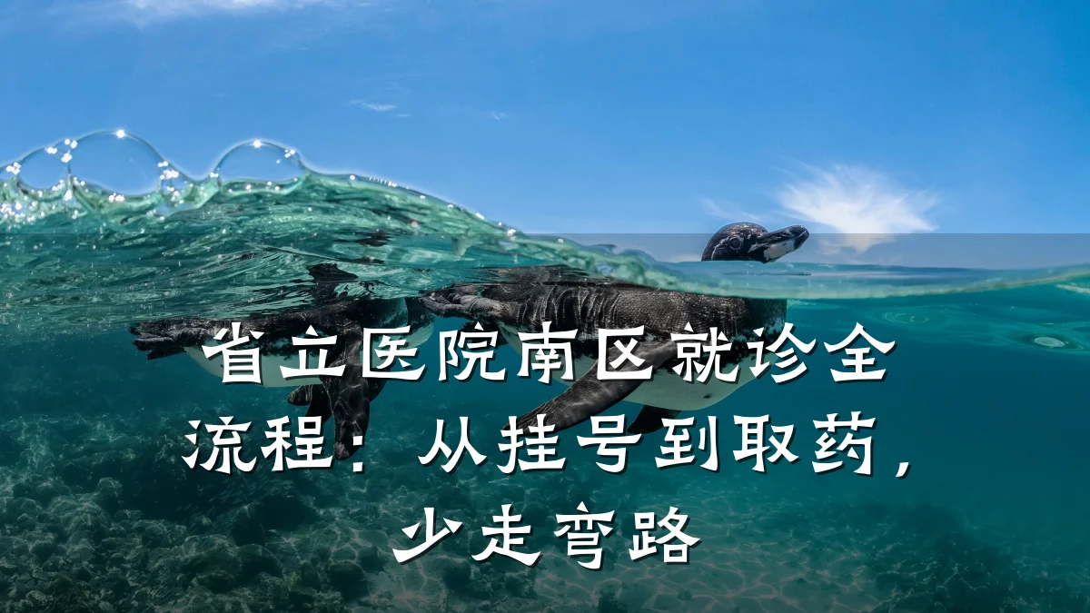 省立医院南区就诊全流程:从挂号到取药,少走弯路