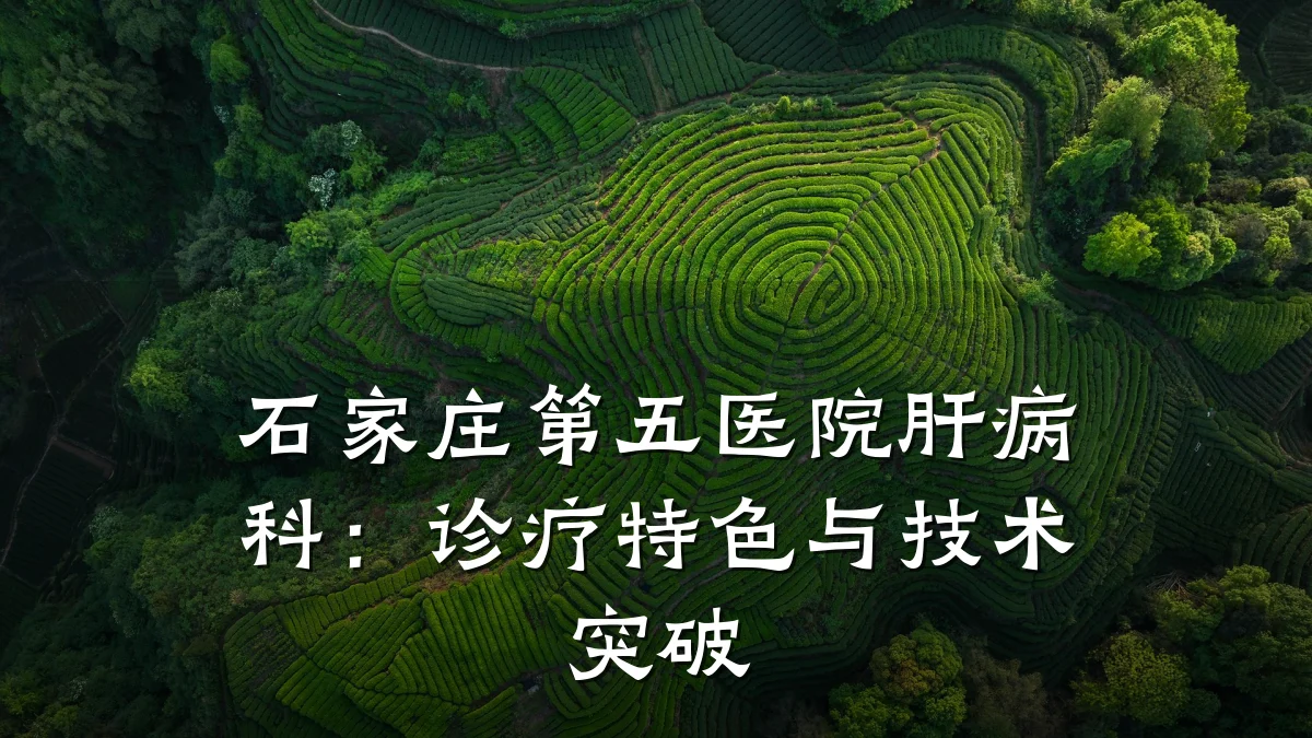 石家庄第五医院肝病科:诊疗特色与技术突破