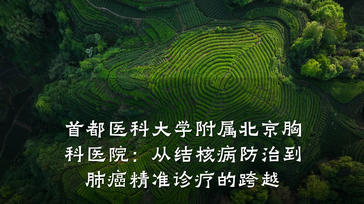 首都医科大学附属北京胸科医院：从结核病防治到肺癌精准诊疗的跨越