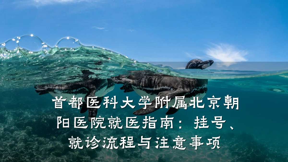 首都医科大学附属北京朝阳医院就医指南:挂号、就诊流程与注意事项