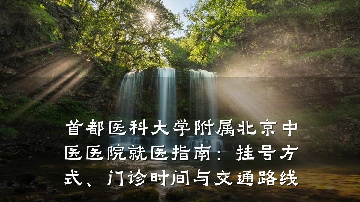 首都医科大学附属北京中医医院就医指南:挂号方式、门诊时间与交通路线