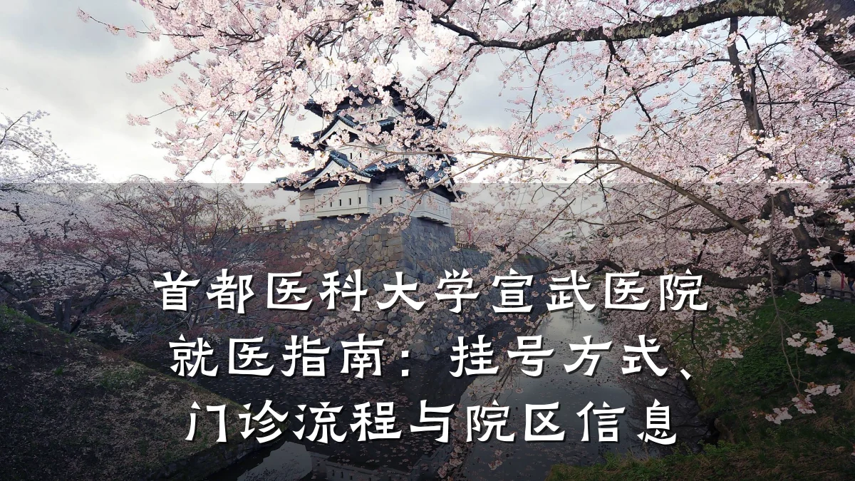 首都医科大学宣武医院就医指南:挂号方式、门诊流程与院区信息