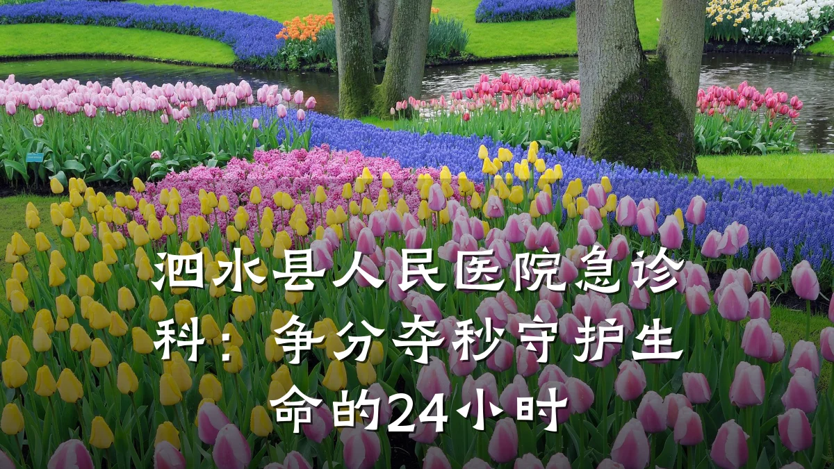 泗水县人民医院急诊科:争分夺秒守护生命的24小时