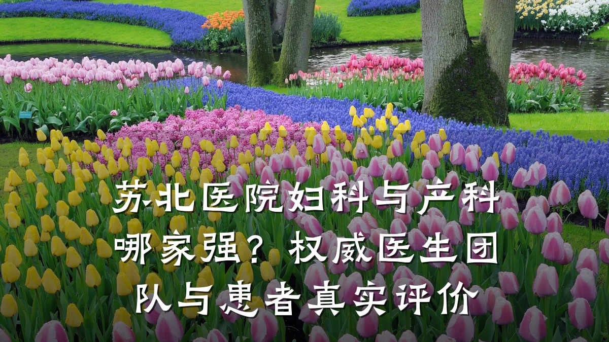 苏北医院妇科与产科哪家强?权威医生团队与患者真实评价