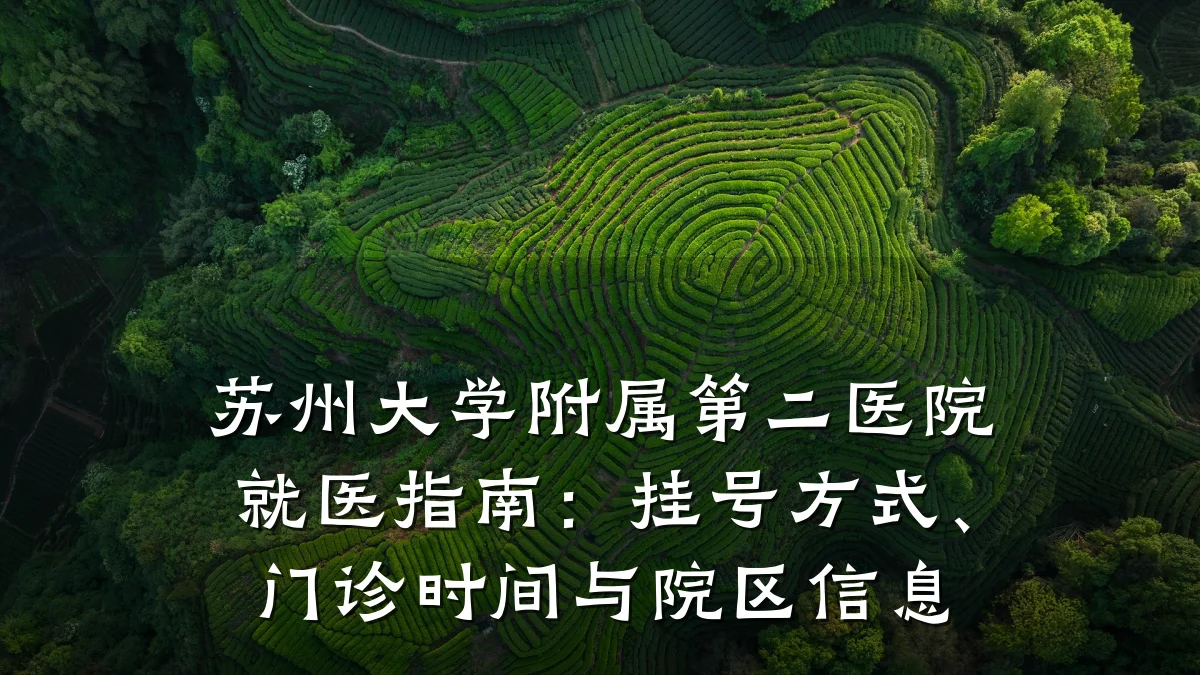 苏州大学附属第二医院就医指南:挂号方式、门诊时间与院区信息