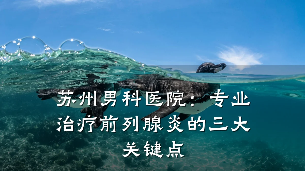 苏州男科医院:专业治疗前列腺炎的三大关键点