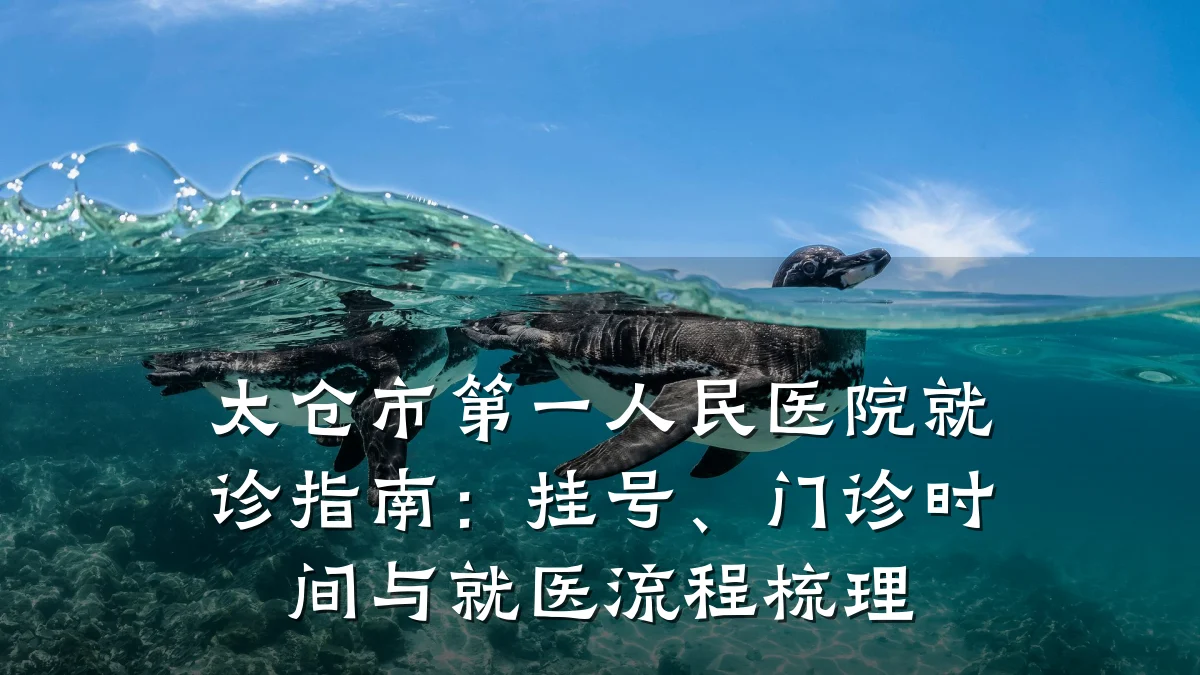 太仓市第一人民医院就诊指南:挂号、门诊时间与就医流程梳理