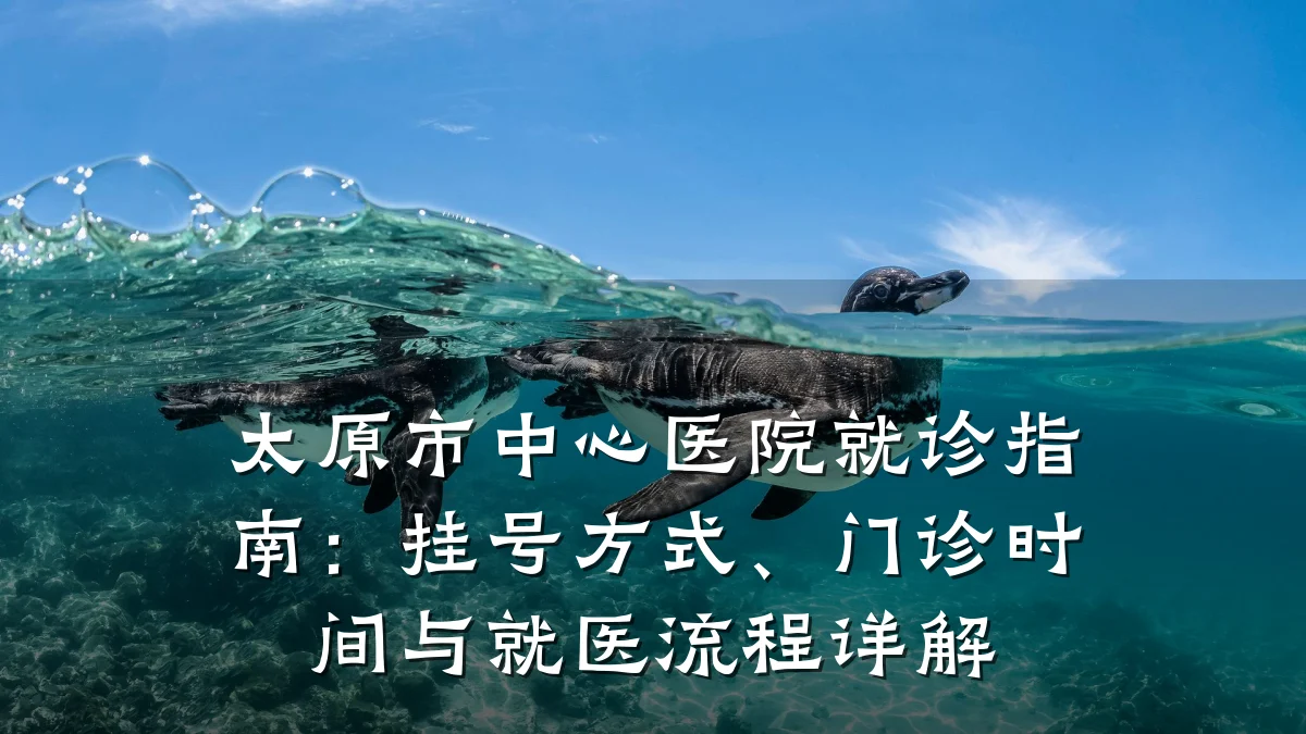 太原市中心医院就诊指南:挂号方式、门诊时间与就医流程详解