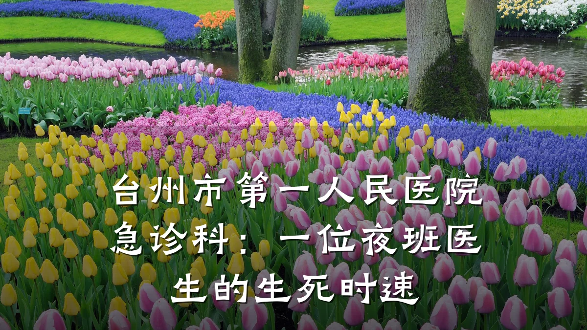 台州市第一人民医院急诊科:一位夜班医生的生死时速