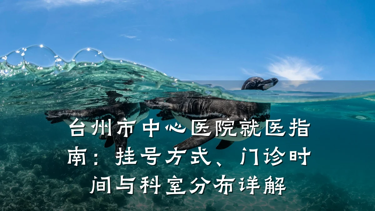 台州市中心医院就医指南:挂号方式、门诊时间与科室分布详解