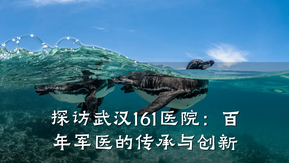 探访武汉161医院:百年军医的传承与创新