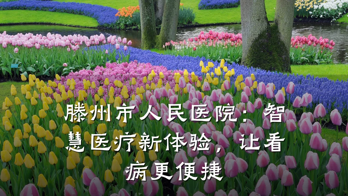 滕州市人民医院:智慧医疗新体验,让看病更便捷