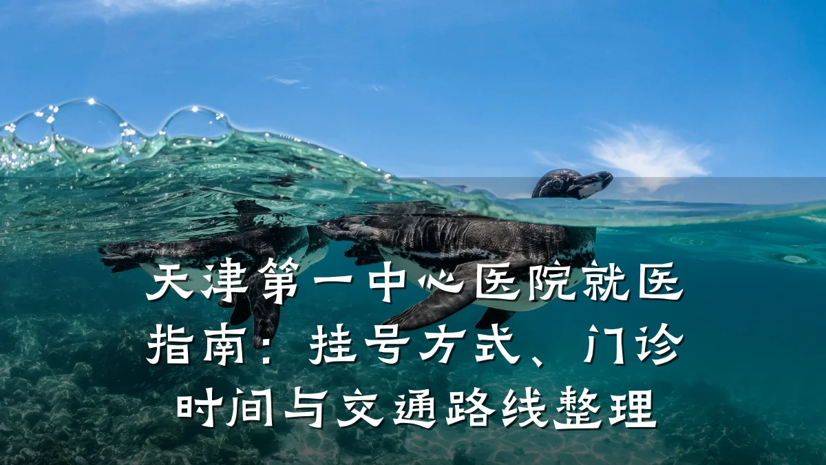 天津第一中心医院就医指南:挂号方式、门诊时间与交通路线整理