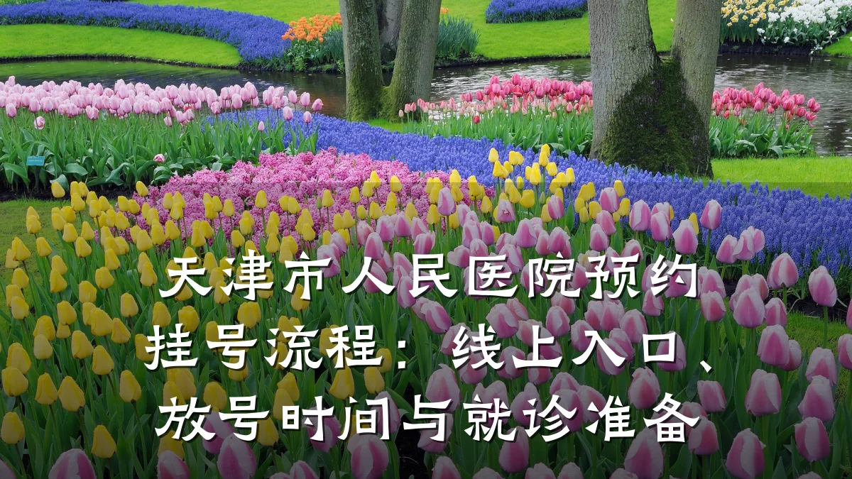天津市人民医院预约挂号流程:线上入口、放号时间与就诊准备