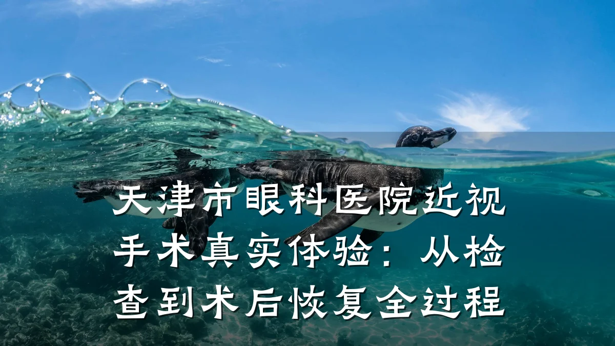 天津市眼科医院近视手术真实体验:从检查到术后恢复全过程