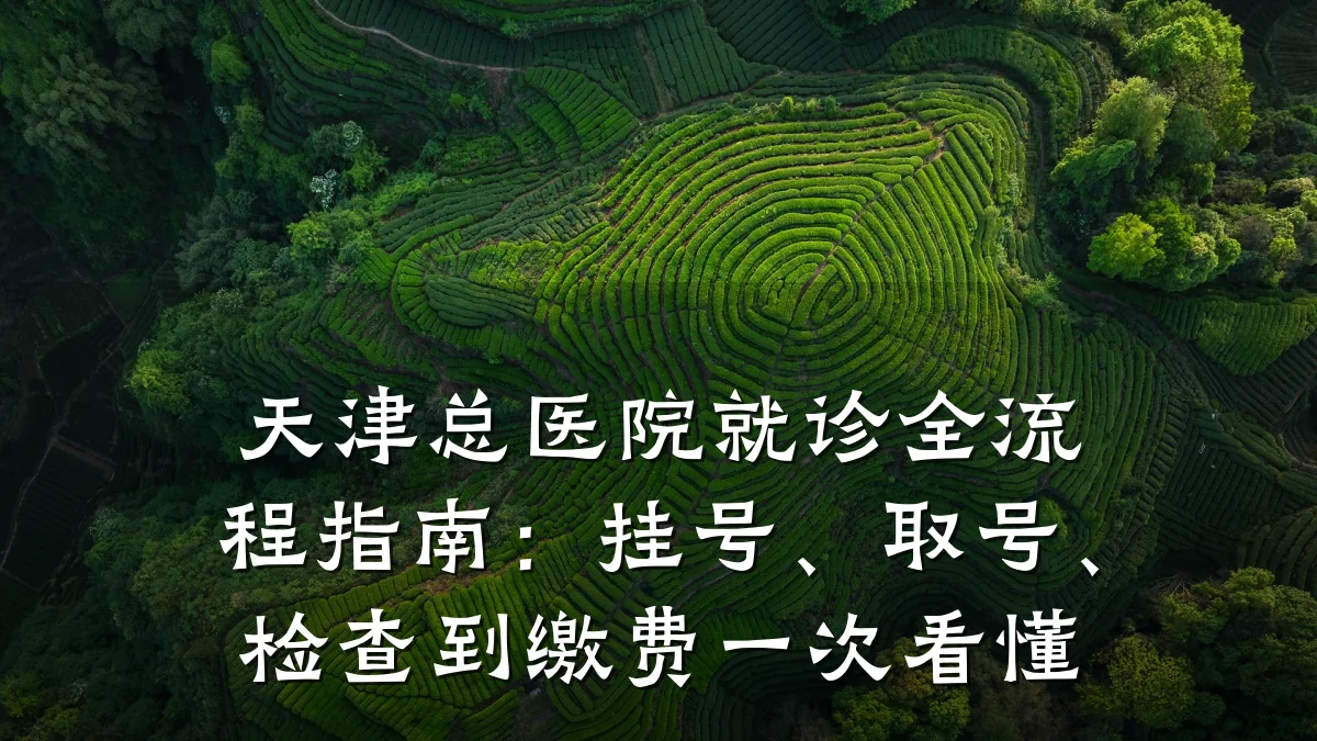 天津总医院就诊全流程指南:挂号、取号、检查到缴费一次看懂