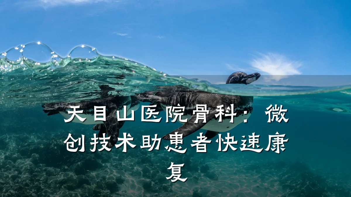 天目山医院骨科:微创技术助患者快速康复