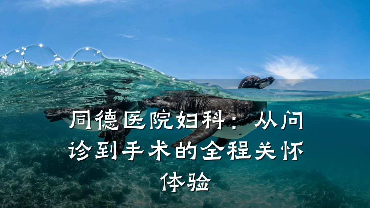 同德医院妇科:从问诊到手术的全程关怀体验