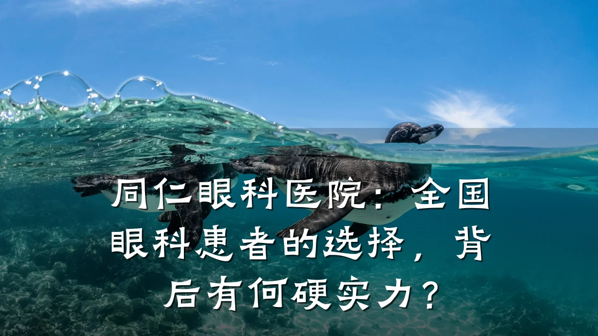 同仁眼科医院:全国眼科患者的选择,背后有何硬实力?