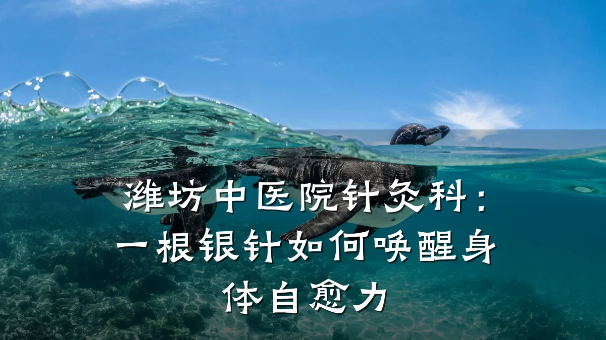 潍坊中医院针灸科:一根银针如何唤醒身体自愈力
