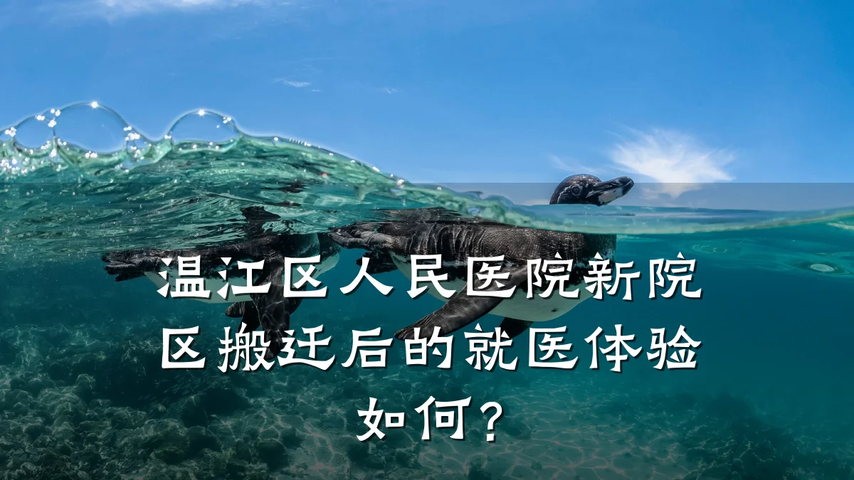 温江区人民医院新院区搬迁后的就医体验如何?