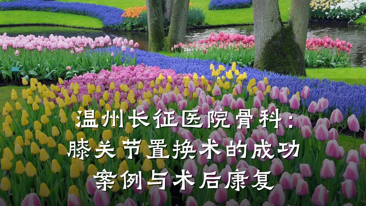 温州长征医院骨科:膝关节置换术的成功案例与术后康复