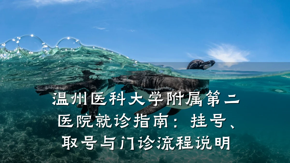 温州医科大学附属第二医院就诊指南:挂号、取号与门诊流程说明