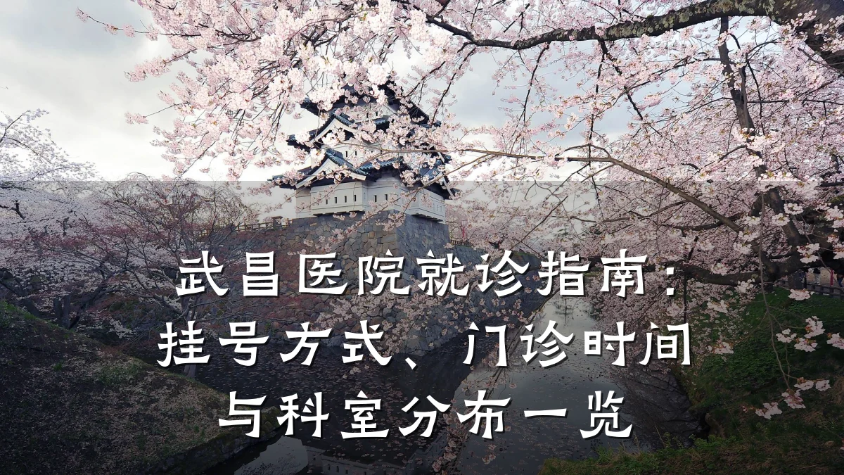 武昌医院就诊指南:挂号方式、门诊时间与科室分布一览