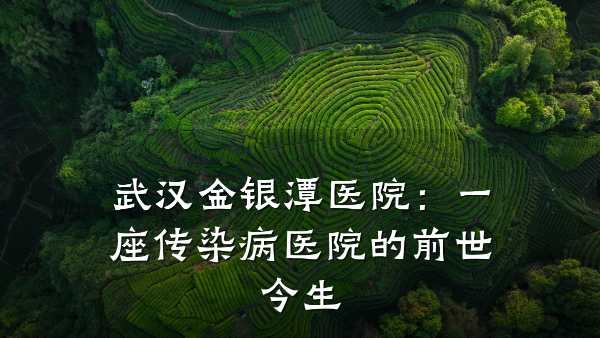武汉金银潭医院:一座传染病医院的前世今生