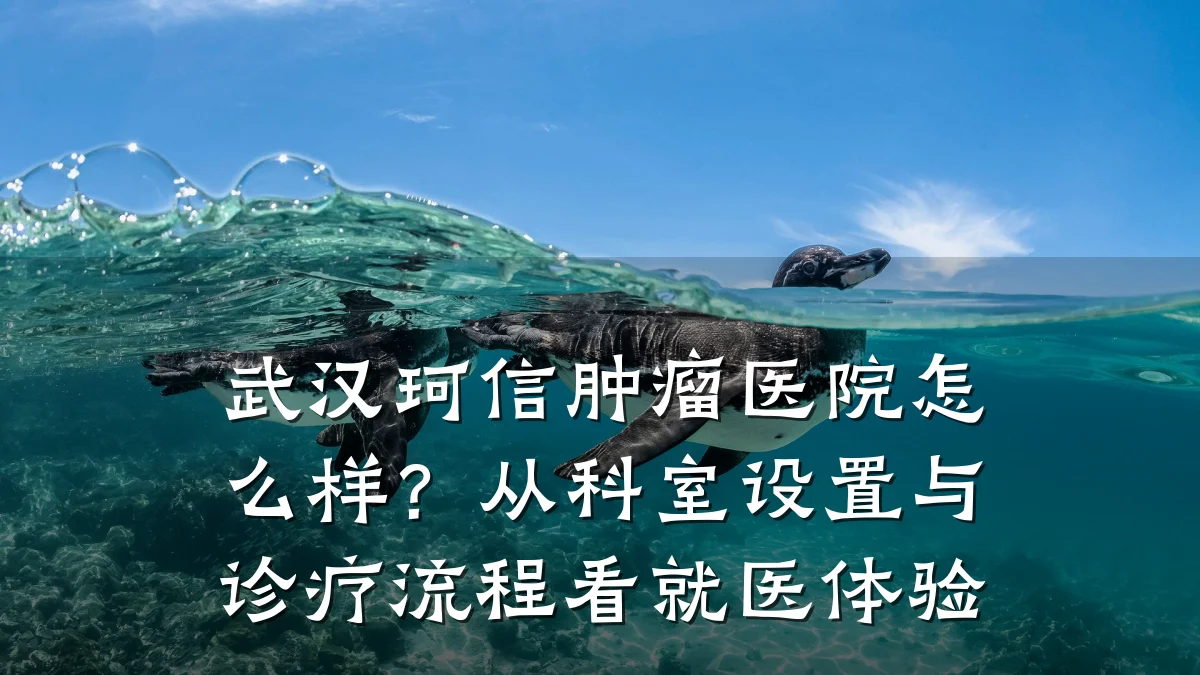 武汉珂信肿瘤医院怎么样?从科室设置与诊疗流程看就医体验