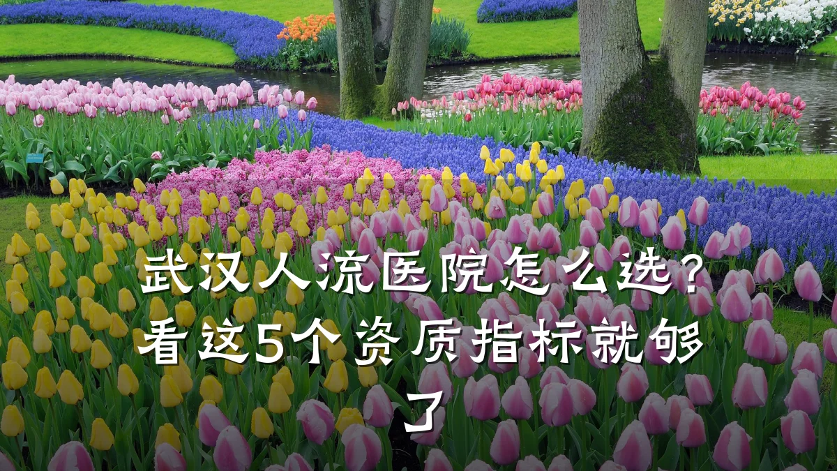 武汉人流医院怎么选?看这5个资质指标就够了