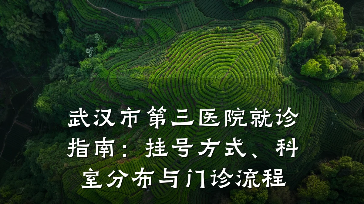 武汉市第三医院就诊指南:挂号方式、科室分布与门诊流程