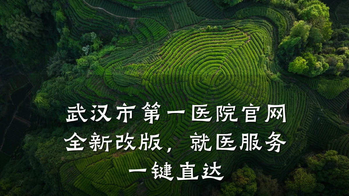 武汉市第一医院官网全新改版,就医服务一键直达
