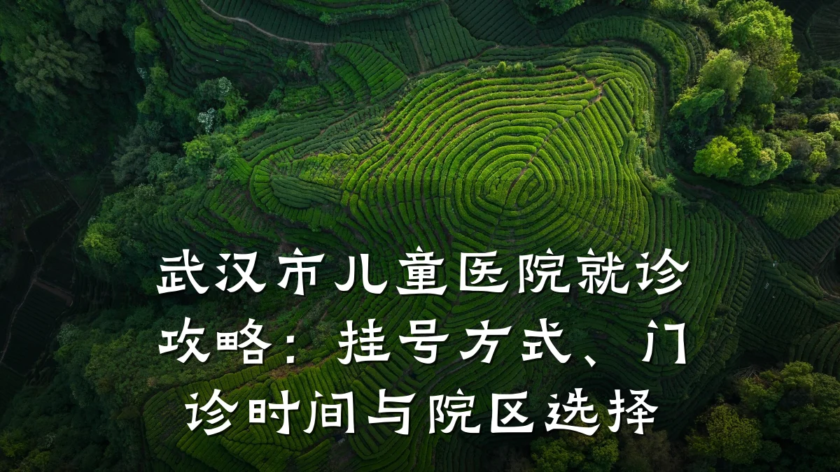 武汉市儿童医院就诊攻略:挂号方式、门诊时间与院区选择