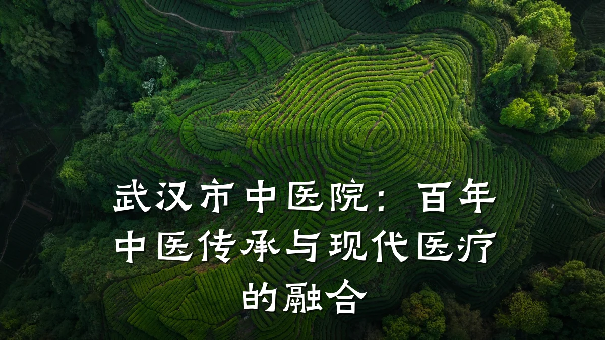 武汉市中医院:百年中医传承与现代医疗的融合