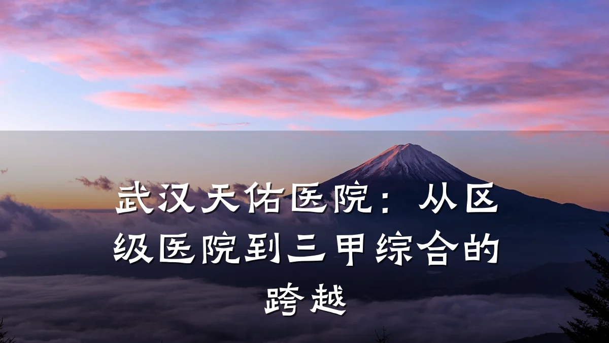 武汉天佑医院:从区级医院到三甲综合的跨越