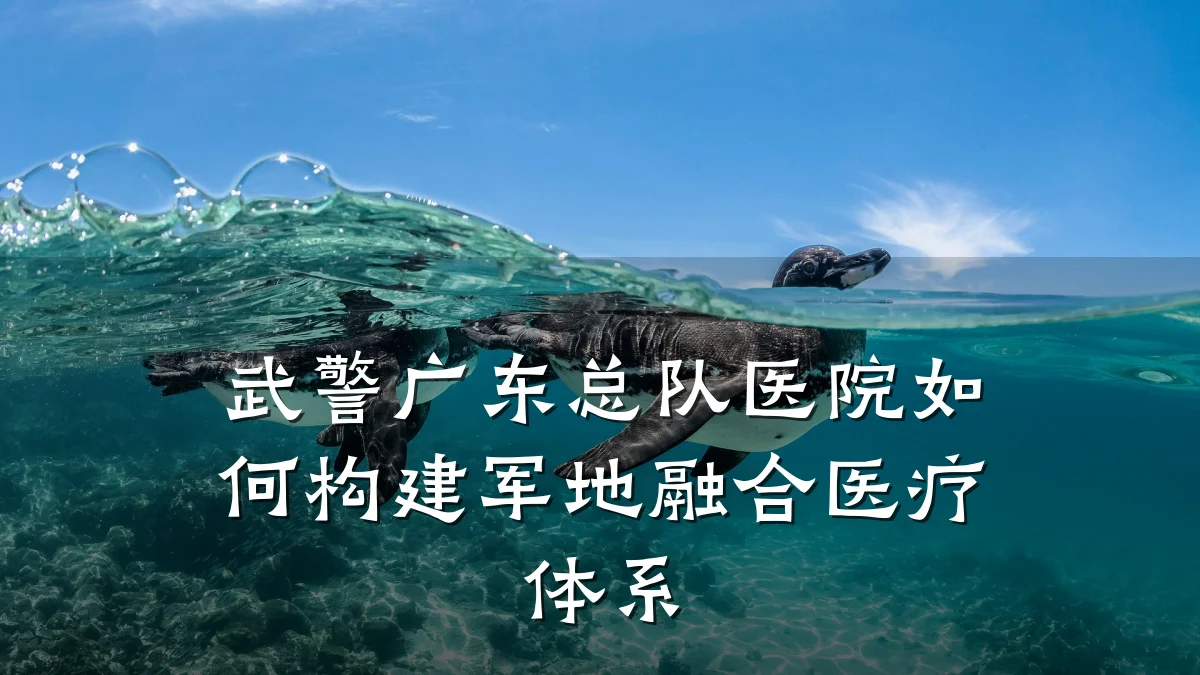 武警广东总队医院如何构建军地融合医疗体系