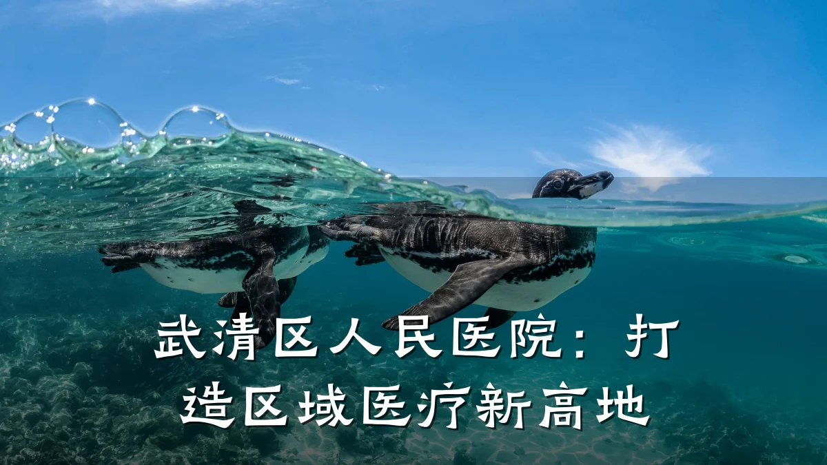 武清区人民医院:打造区域医疗新高地